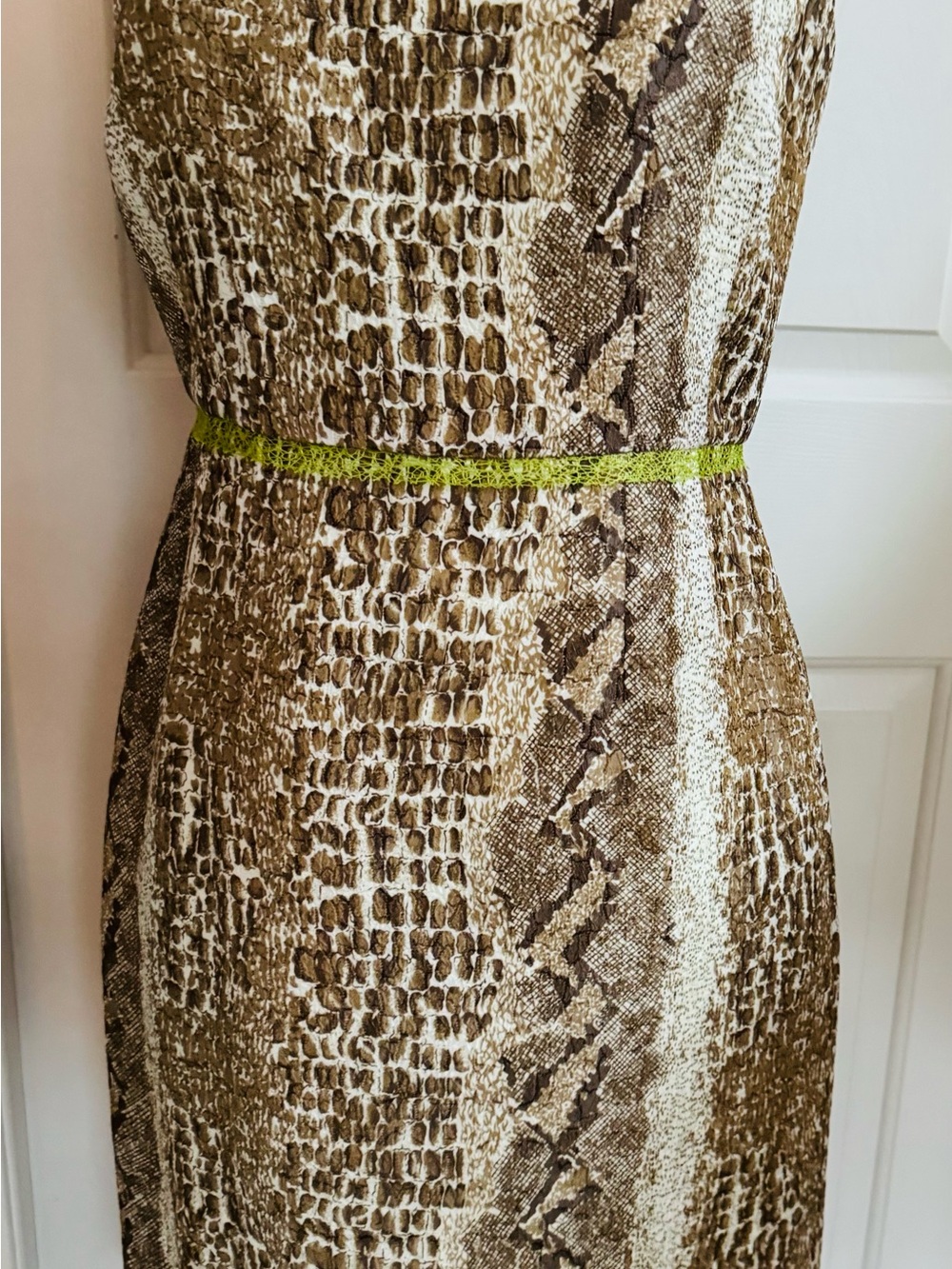 T Tahari Snake-Print Midi Dress in Brown and Cream